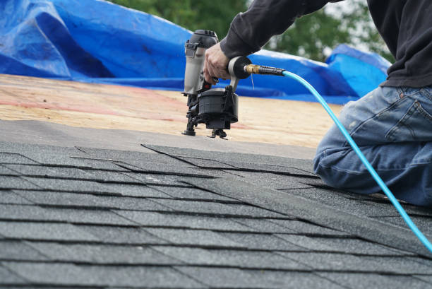 Best Flat Roof Repair Services  in Dixmoor, IL